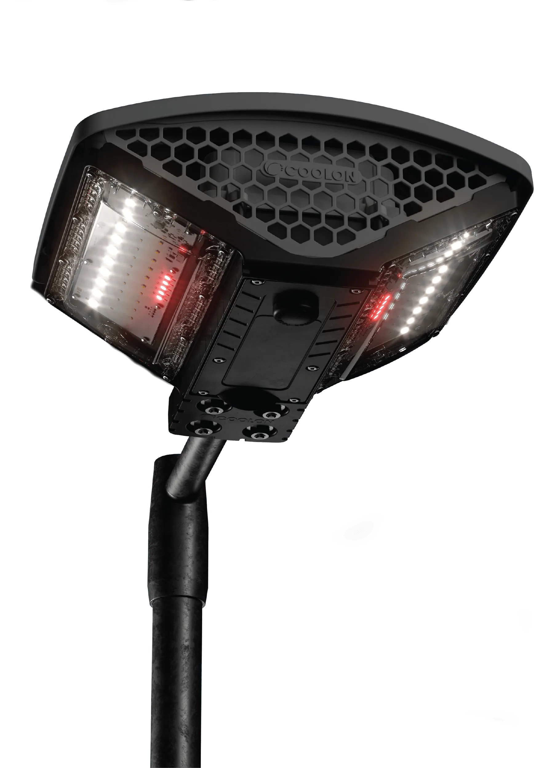 DLK2 Light